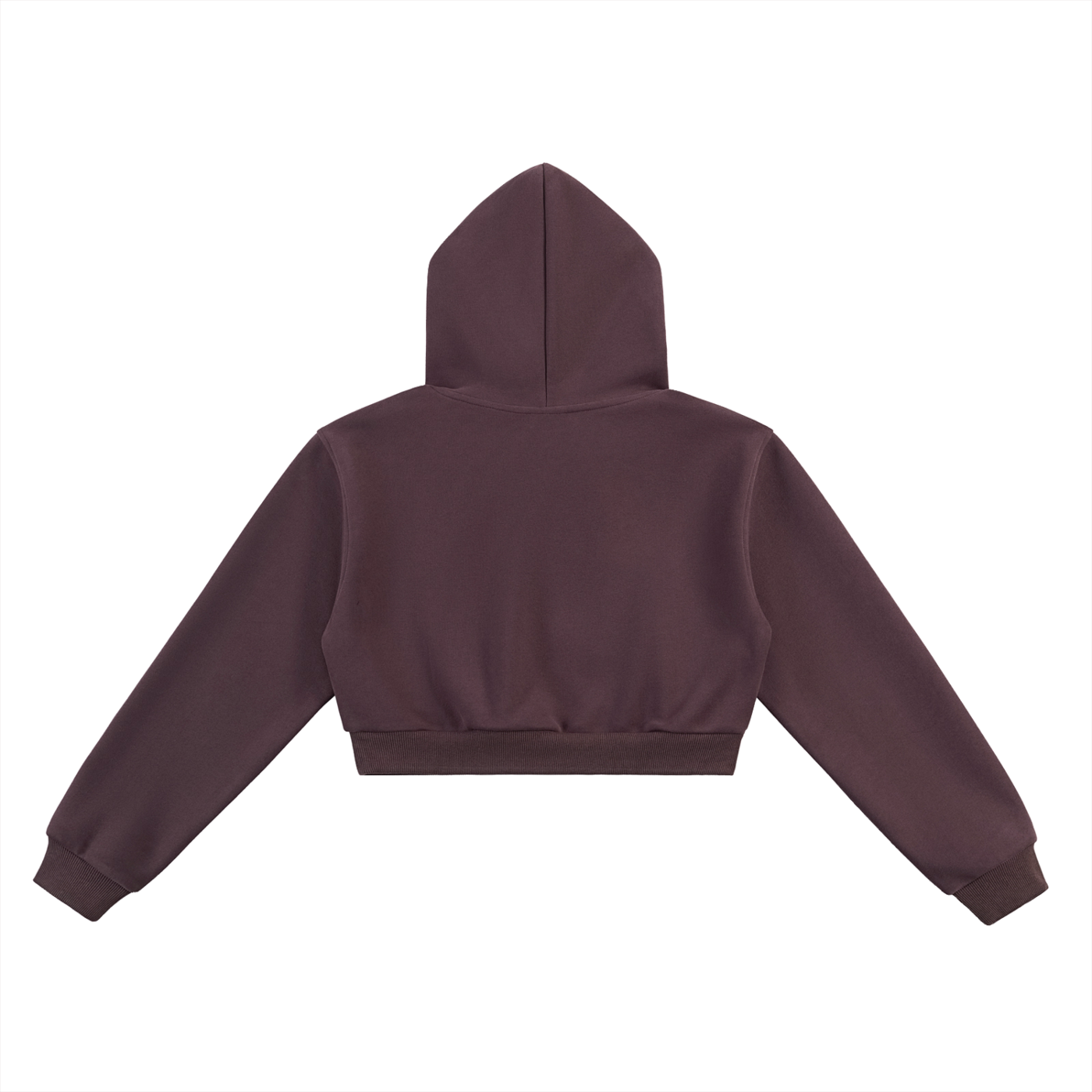 Melaninaire Cropped Hoodie